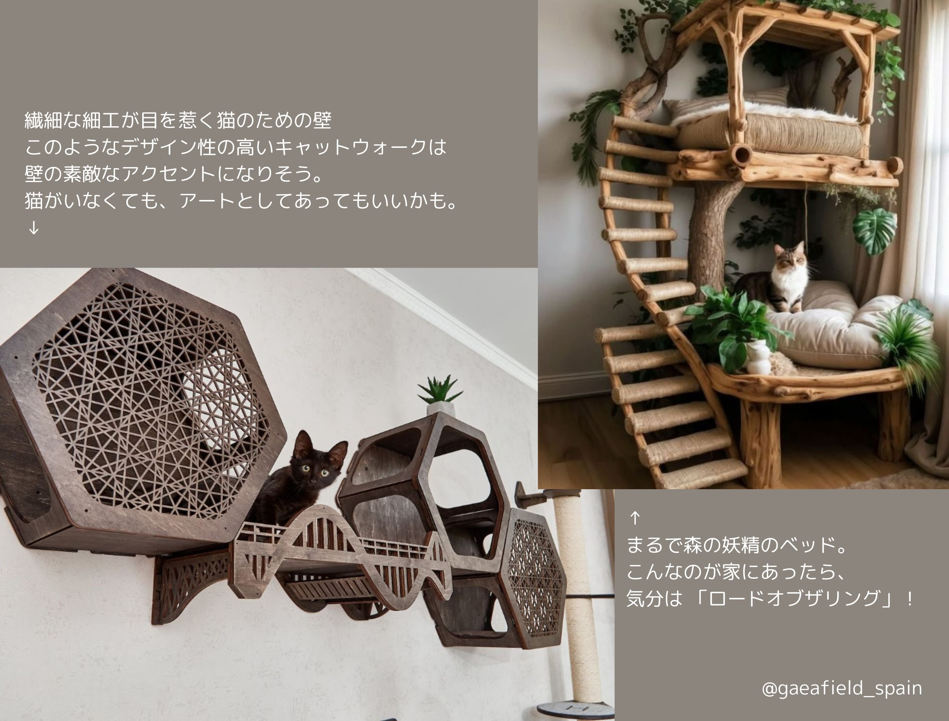 ブログ1-2